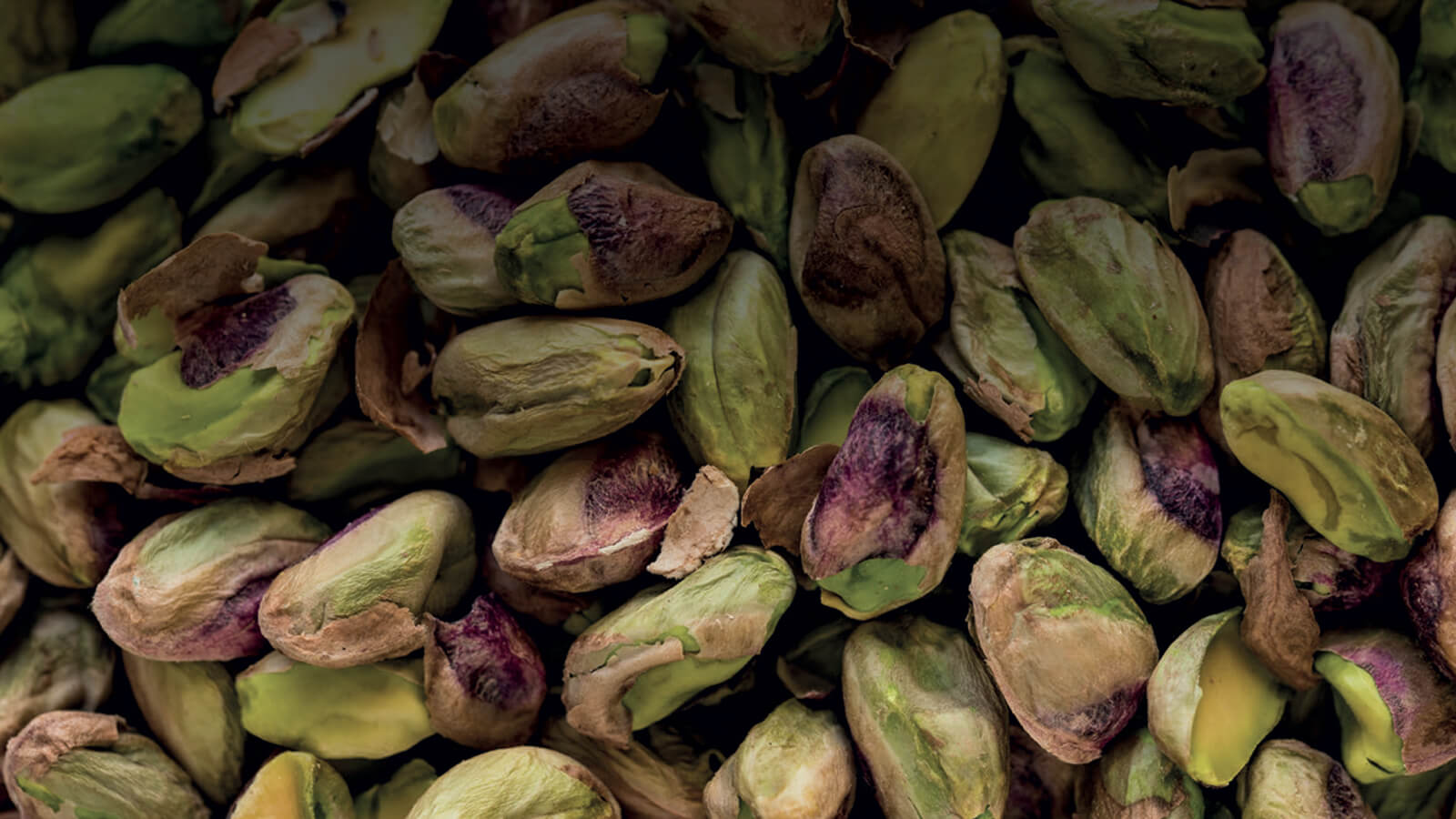 I Pesti Segreti di Sicilia FRANTOI CUTRERA