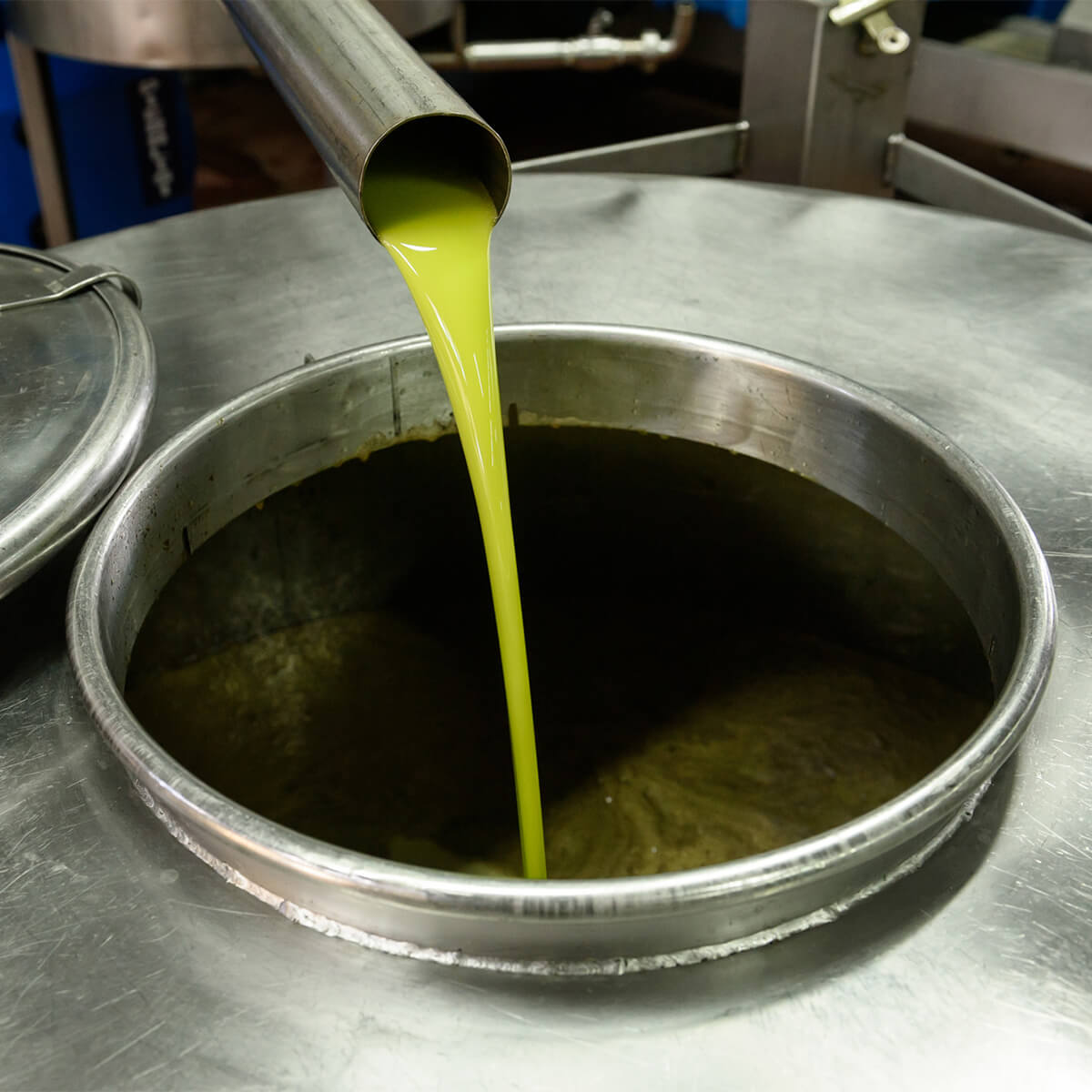 Olio extravergine di oliva: come riconoscerlo