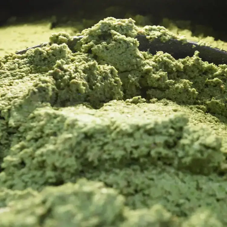 Dal Frutto alla Bottiglia: Come Nasce l’Olio EVO Frantoi Cutrera nei Monti Iblei