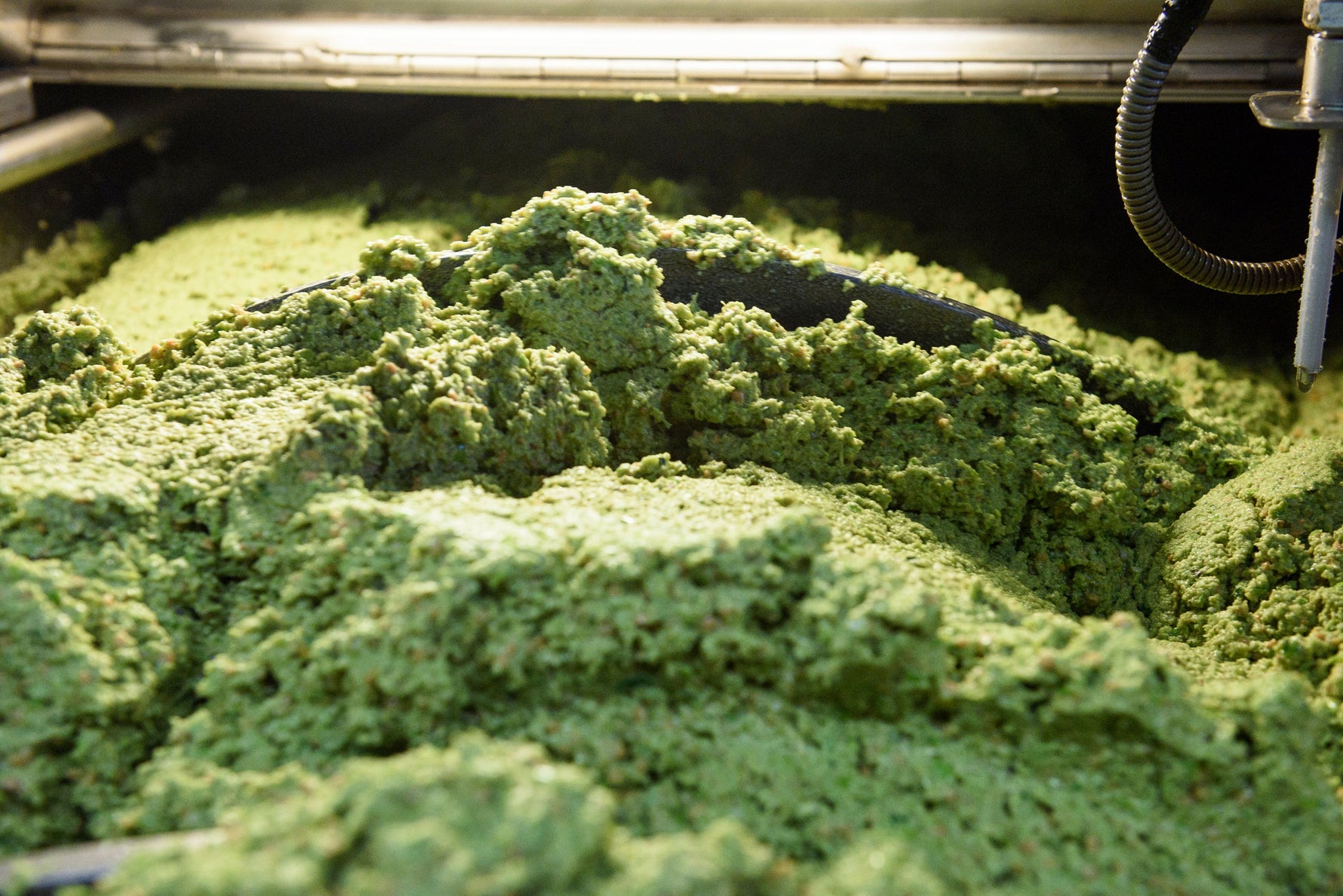 Cosa-contiene-l-olio-d-oliva-Composizione-e-benefici FRANTOI CUTRERA