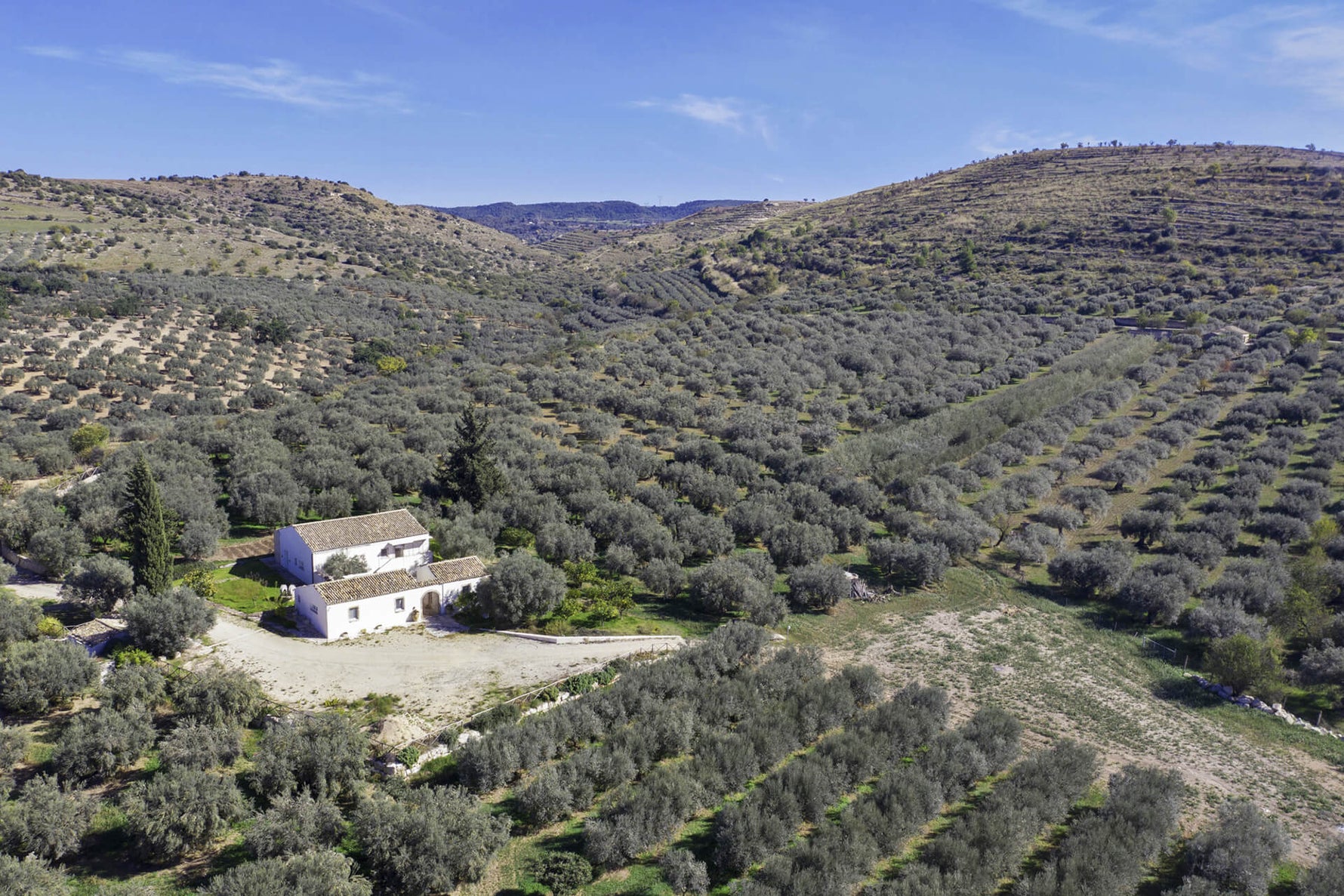Frantoio Cutrera - Il territorio